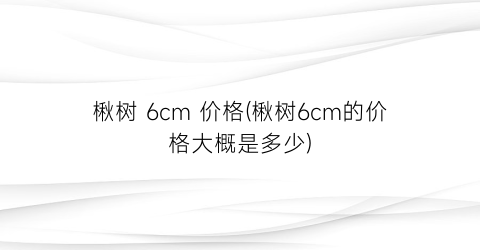 楸树 6cm 价格(楸树6cm的价格大概是多少)